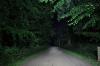 GIGABRUTL T6 CREE LED LMPA 7 4V AUT FNYSZR