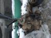 PEUGEOT 306 HDI 1 6 DAIHATSU ROCKY motor es valto