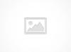 Photo Volkswagen Kombi Other 1997. R43000 neg