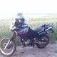 Honda Dominator Felni