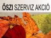 Honda Szallerbeck - Őszi Kisgép szerviz akció
