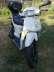 Honda SH50 elad vagy lncfrsz csere!!!