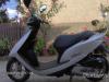 Elad Honda Di robog