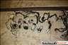 OPEL 1.9 CDTI 150LE Z19DTH MOTOR ALKATRSZEK/MOTOR ELAD