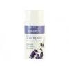 Bentley Organic BIO sampon norml s szraz hajra 250 ml