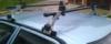 Thule 1050 komplett tetcsomagtart elad