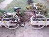Peugeot 28 os frfi kerkpr
