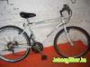 Hasznlt Mtb frfi kerkpr Peugeot Nevada
