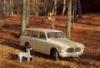 50 ves a Volvo Amazon Kombi