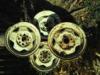 4 darab 4x108 6j Mitsubishi acl felni