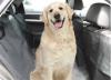 Car Seat Cover - aut lshuzat