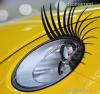 Ed hardy szupi csajos ov Aut motor s alkatrsz