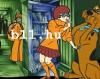 Scooby Doo find the numbers online ScoobyDoo jtk