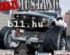 Crazy Mustang auts jtkok