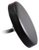 GPS GSM WIFI Combo Antenna SMA Screw 3M