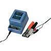 LOMAKKU TLT 6V 12V 8V 1 6A H TRONIC