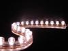 Led csk 48cm-es fehr