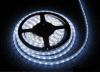 BELTRI LED szalag 60 LED m 3528 SMD 44 IP hideg fehr