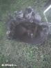 Citroen zx diesel bontott 5 sebessges vlt elad