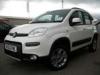 Fiat Panda 1.3 Multijet 4x4 5dr - 2013 (63)