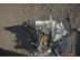 FIAT GRANDE PUNTO / Punto Grande 1,3 Multi Jet Vlt