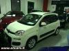 Fiat panda km 0 torino