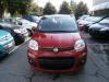 Fiat panda cambiano