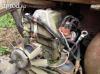 W123 250 motor