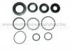 Szimering HONDA X8R, SKY, SH 50 (100641300) RMS szett