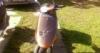 Elad olcsn egy Honda Tact robog