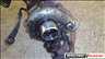 Fiat Brava Bravo Marea 1.9TD motor vlt hengerfej turb adagol elad