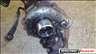 Fiat Brava Bravo Marea 1.9TD motor vlt hengerfej turb adagol elad