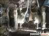 Citroen Xsara s Picasso fknyereg elad!
