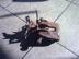 FORD FOCUS / Focus Bal Jobb hts fknyereg elad.