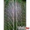 Elad Hasznlt nyri gumi 195/65 R15 91H