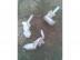 OPEL CORSA D, VECTRA B, CORSA C, ASTRA H, ASTRA G / Gyri bontott ablakmos tartlyok ,spricni motor