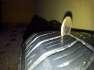 4x100 13 Opel felni gumikkal elad