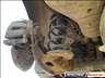Opel Astra 2002 Bal Hts Lengscsillapt
