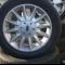 16 Ford alufelni garntura