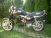 Elad MZ ETZ 301 motorkerkpr