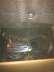 Kia K2500 bal hts lmpa - j