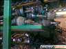 Passat b3 maruti vectra astra twingo racer almera fltengely