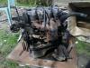 NISSAN SUNNY Nssan Sunny vlt
