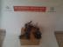 PEUGEOT EGYB 1.6 -2.0 hdi motor alkatrszei, PARTNER 1.6... / hdi motor alkatrszei