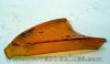 99 Peugeot Zenith LS Sport 50cc Le Rear Indicator Lense