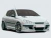 Peugeot 206 Recto Body Kit