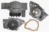 Citroen Fiat Peugeot Suzuki vzpumpa Europump 6580822