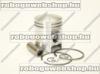 DUGATTY SUZUKI KATANA TS 50 APRILIA SR DITECH 50 D.42,50M...