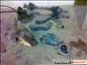 Renault twingo fltengely bontott