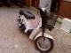 Suzuki Mollet Robog Elad